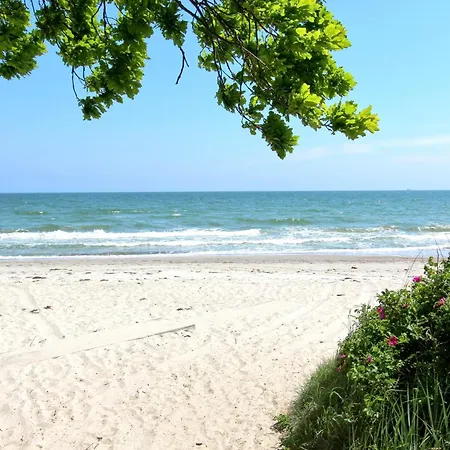 Ferienhaus Distelfink Ferienwohnung 01 Lejlighed Groß Zicker